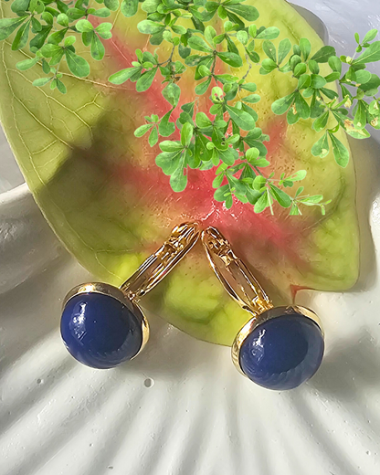 Elegant Blue and Gold Earrings