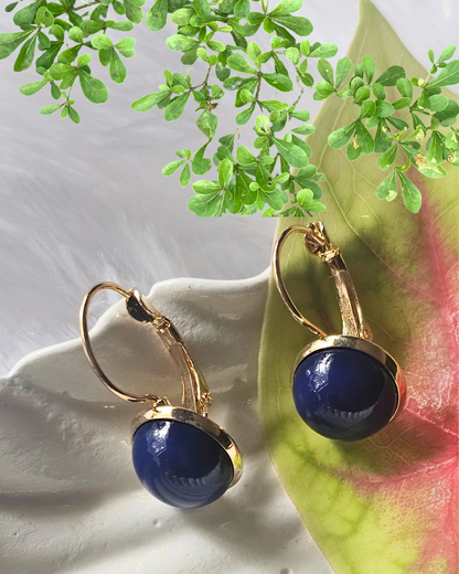 Elegant Blue and Gold Earrings